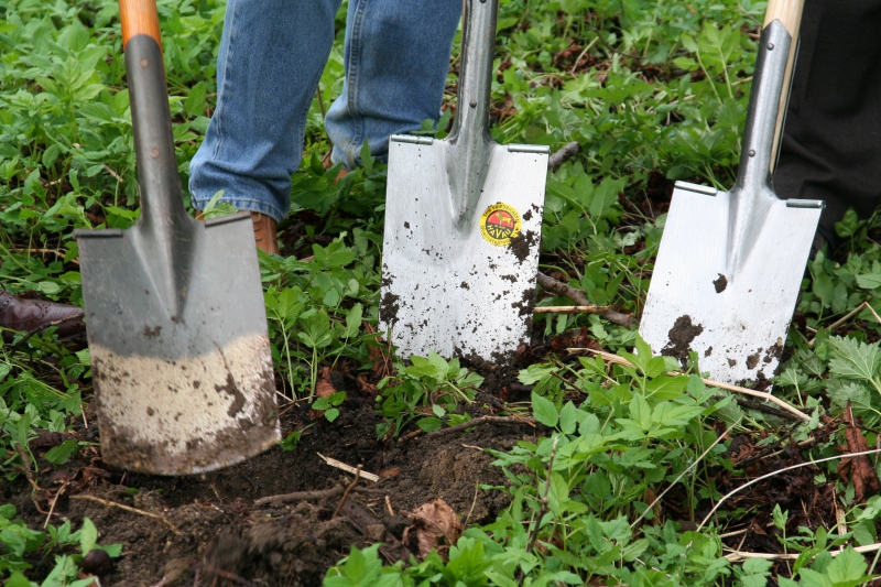 pepiniere-FIGANIERES-min_work-lawn-flower-tool-green-backyard-1103633-pxhere.com